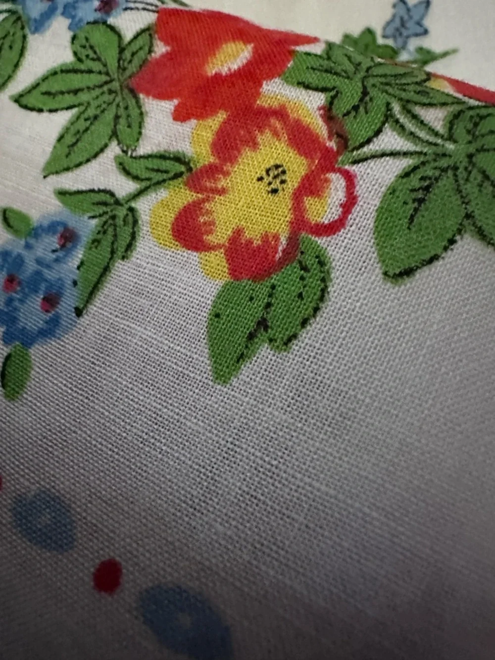 Vintage Floral Printed Napkins - Red, Green, Blue (set of 6)